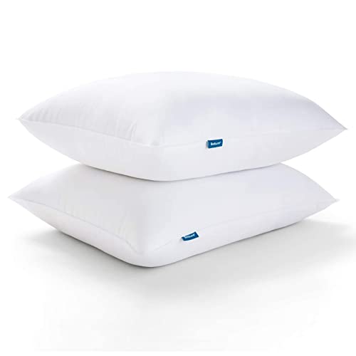 Bedsure Pillows Queen Size Set of 2
